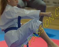 KARATE - 0231